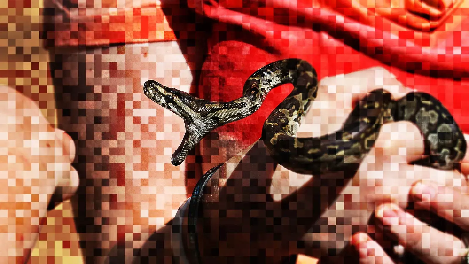 दुनिया भर में सांप काटने से सबसे ज़्यादा मौत भारत में, ये हाल तब है जब सारे मामले दर्ज नहीं होते