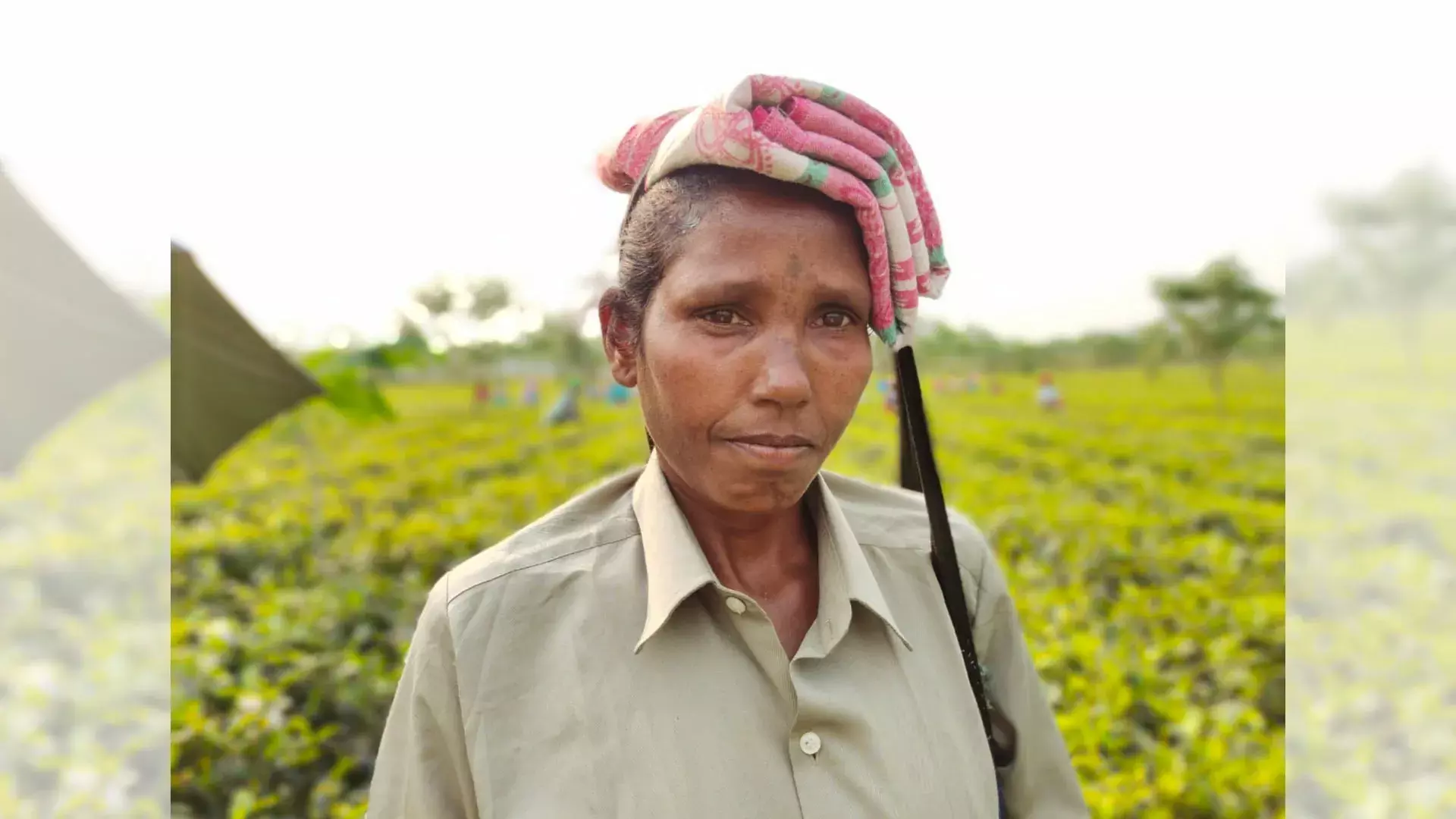 पश्चिम बंगाल में दार्जिलिंग के एक चाय बागान में काम करने वाली रंजिता डे।  फोटो: साधिका तिवारी पश्चिम बंगाल में दार्जिलिंग के एक चाय बागान में काम करने वाली रंजिता डे।  फोटो: साधिका तिवारी