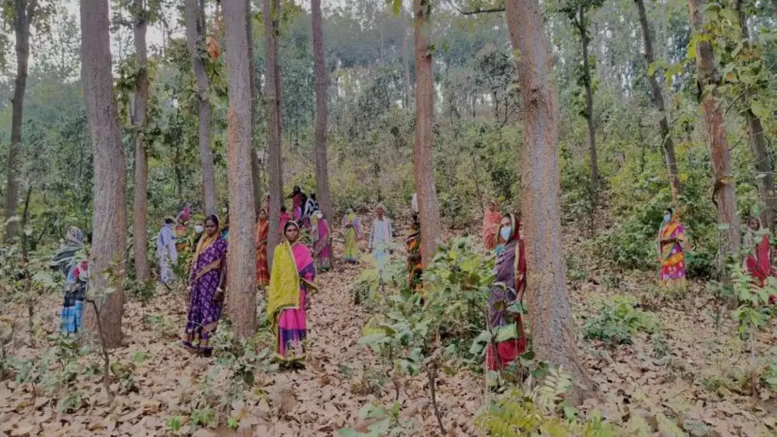 फोटो: तज़ीन कुरैशी