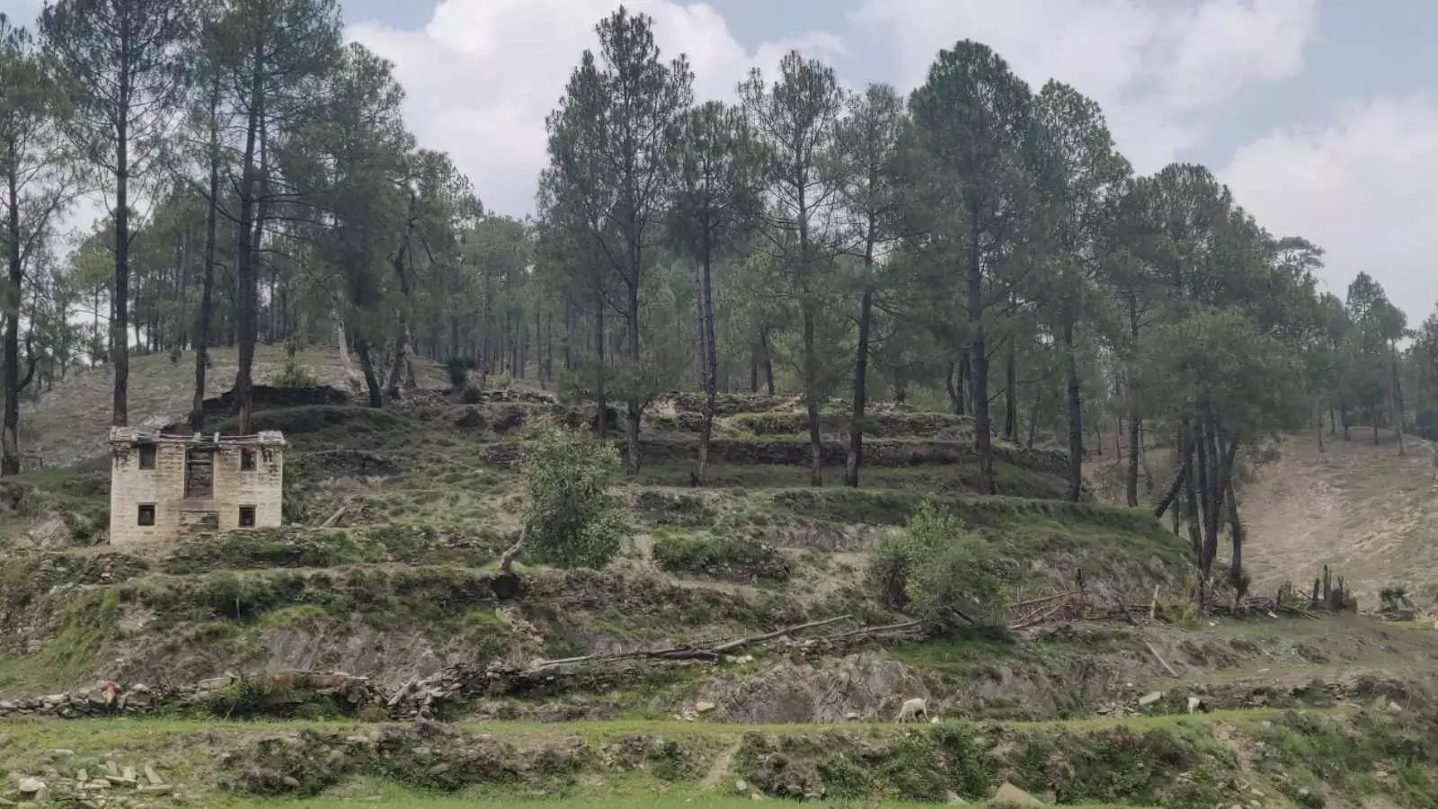 ग्राउंड रिपोर्ट: क्यों है उत्तराखंड के अल्मोड़ा का पॉज़िटिविटी रेट राज्य में सबसे ज़्यादा ग्राउंड रिपोर्ट: क्यों है उत्तराखंड के अल्मोड़ा का पॉज़िटिविटी रेट राज्य में सबसे ज़्यादा