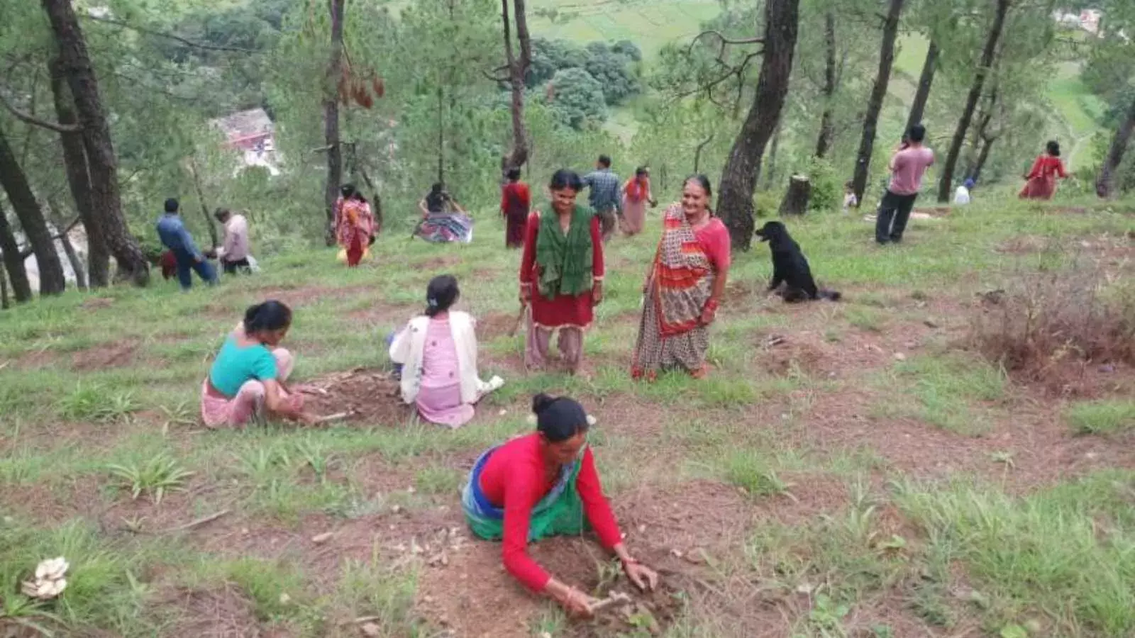 कैसे करती हैं उत्तराखंड की वन पचायतें समुदाय के लिए, समुदाय के द्वारा वन प्रबंधन कैसे करती हैं उत्तराखंड की वन पचायतें समुदाय के लिए, समुदाय के द्वारा वन प्रबंधन