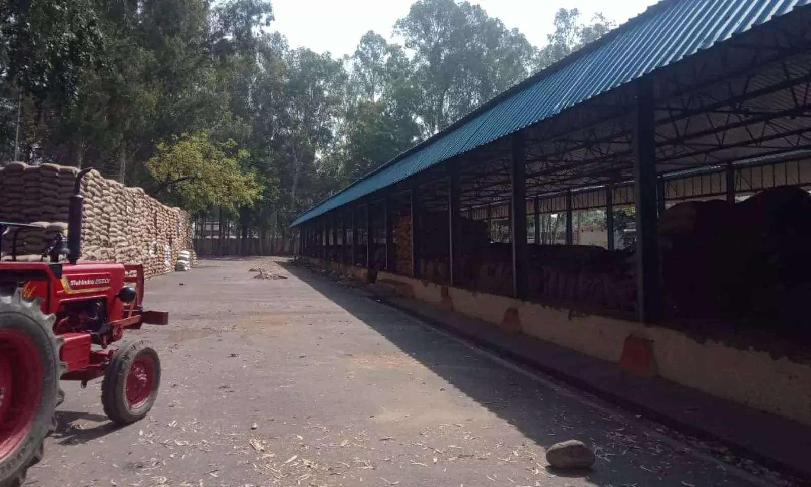 Wheat - Uttar Pradesh