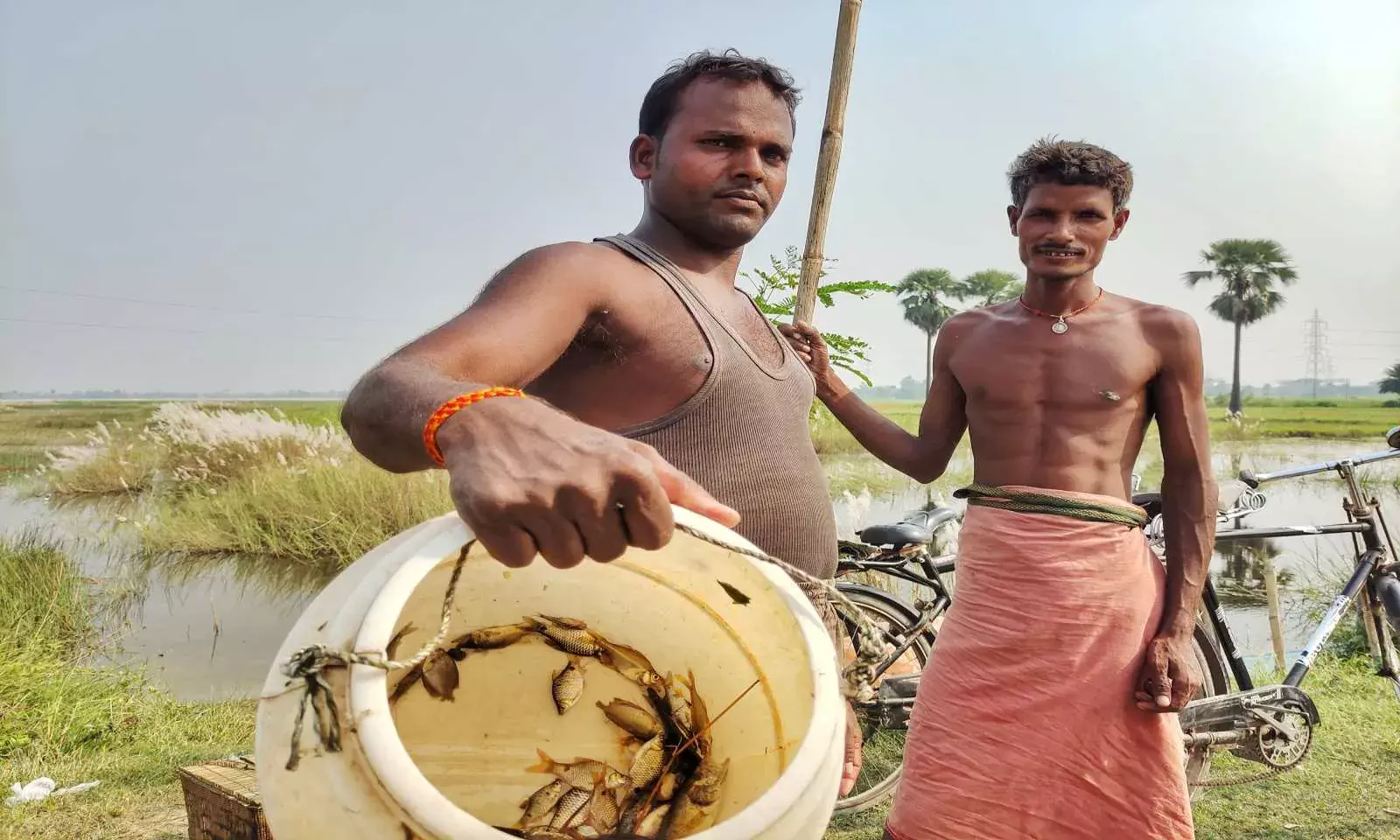 सतत विका स लक्ष्यों में सबसे पीछे बिहार- भुखमरी और ग़रीबी अब भी बड़ी समस्या सतत विका स लक्ष्यों में सबसे पीछे बिहार- भुखमरी और ग़रीबी अब भी बड़ी समस्या