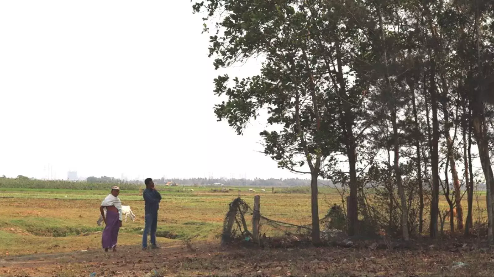 जलवायु परिवर्तन से लड़ने के लिए ओडिशा के इन गांवों में बसाए जा रहे मिनी जंगल