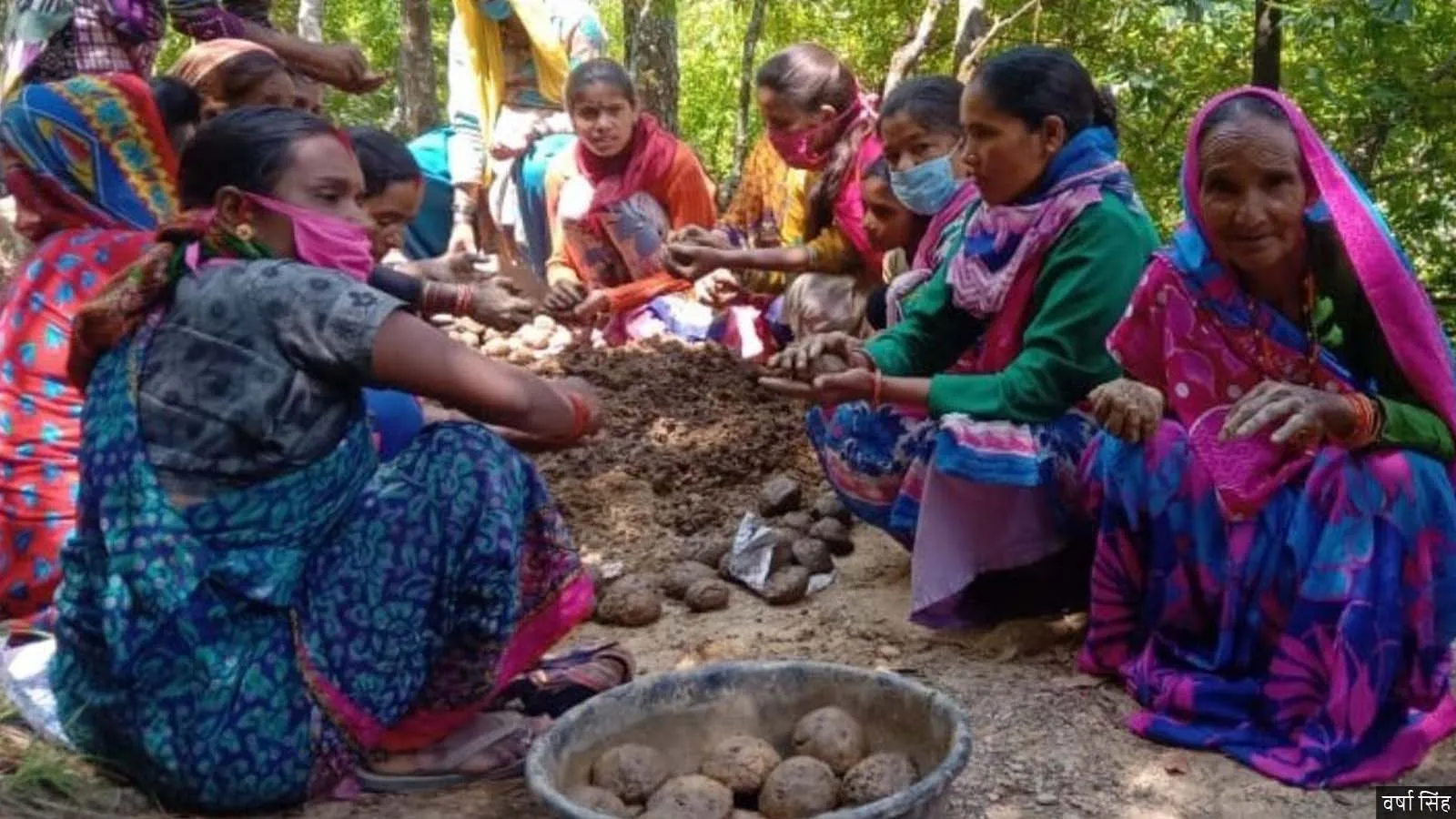 उत्तराखंड में जंगली जानवरों से फसलों को बचाने के लिए हो रही बीज बमबारी उत्तराखंड में जंगली जानवरों से फसलों को बचाने के लिए हो रही बीज बमबारी