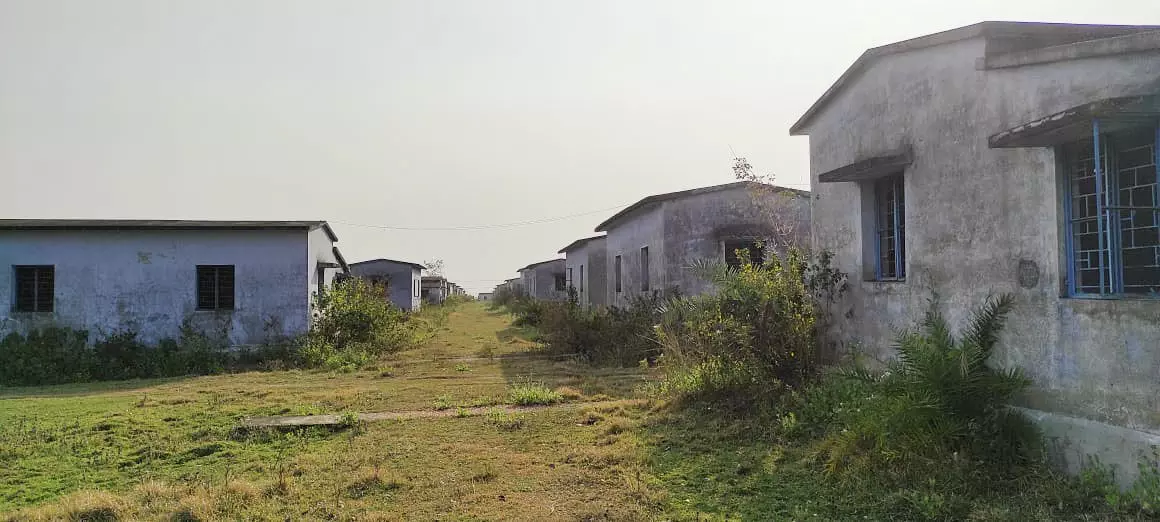 जमुरिया में अनुपयोगी व खाली पड़े पुनर्वास क्वार्टर। फोटो: निलाद्री सरकार जमुरिया में अनुपयोगी व खाली पड़े पुनर्वास क्वार्टर। फोटो: निलाद्री सरकार