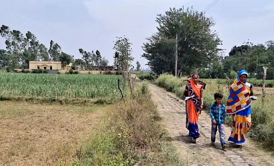 खेतों के बीच परेवपुर की पीएचसी और उस तक जाने वाला रास्‍ता। तस्‍वीर में कुस्‍मा और जसोदा दवा लेकर लौट रही हैं। फोटो: रणव‍िजय सिंह