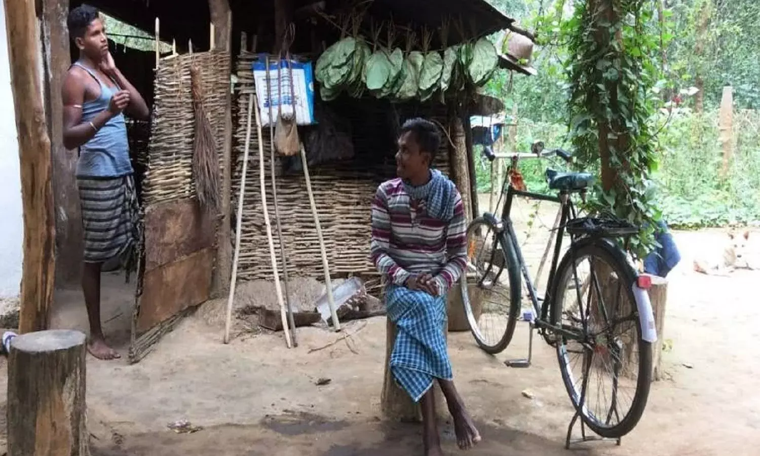 अवैध कटाई, घुसपैठ और शिकारियों से जंगलों को बचाते बस्तर के युवा आदिवासी अवैध कटाई, घुसपैठ और शिकारियों से जंगलों को बचाते बस्तर के युवा आदिवासी