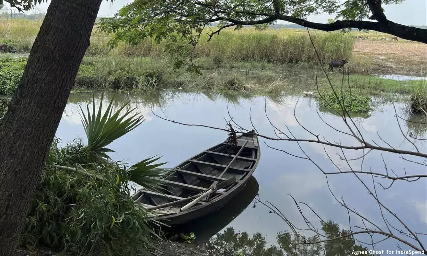 हमने उम्मीद खो दी है: घाटल के बाढ़ प्रभावितों का दर्द हमने उम्मीद खो दी है: घाटल के बाढ़ प्रभावितों का दर्द