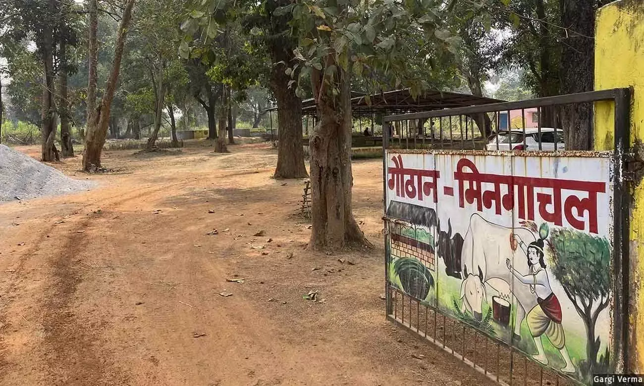 प्राकृतिक खेती को बढ़ावा देने में कितनी सक्षम है छत्तीसगढ़ की गोधन न्याय योजना? प्राकृतिक खेती को बढ़ावा देने में कितनी सक्षम है छत्तीसगढ़ की गोधन न्याय योजना?