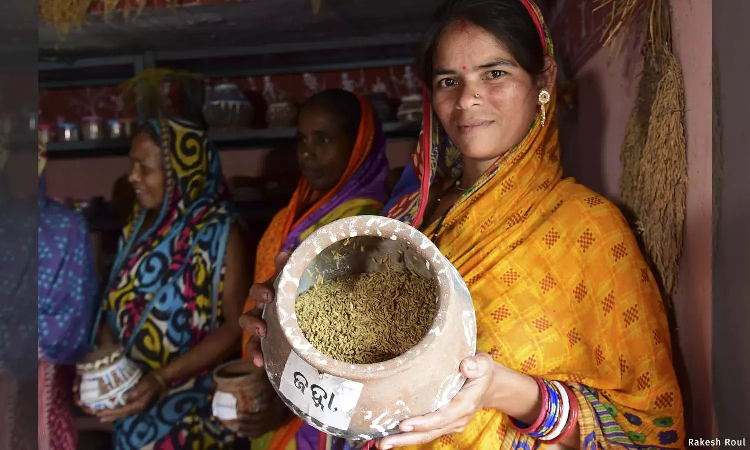 कैसे उड़ीसा में बीज बैंक जैविक खेती को बढ़ावा दे रहे हैं कैसे उड़ीसा में बीज बैंक जैविक खेती को बढ़ावा दे रहे हैं