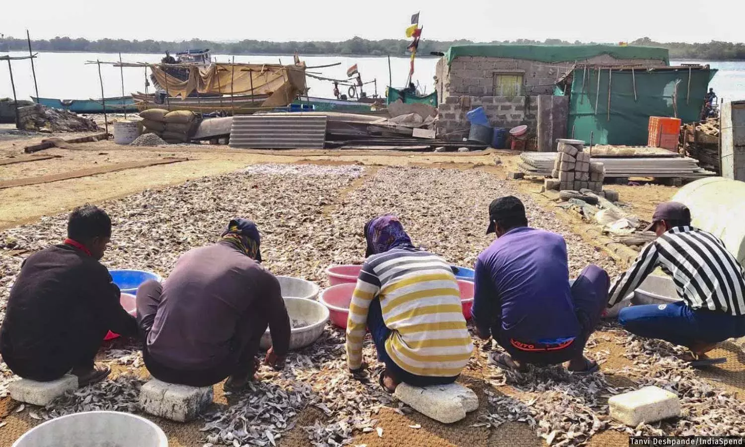 जलवायु हॉटस्पॉट: चक्रवातों की बढ़ती संख्या और हीट वेव्स कर रहा कच्छ के लोगों के जीवन को प्रभावित जलवायु हॉटस्पॉट: चक्रवातों की बढ़ती संख्या और हीट वेव्स कर रहा कच्छ के लोगों के जीवन को प्रभावित