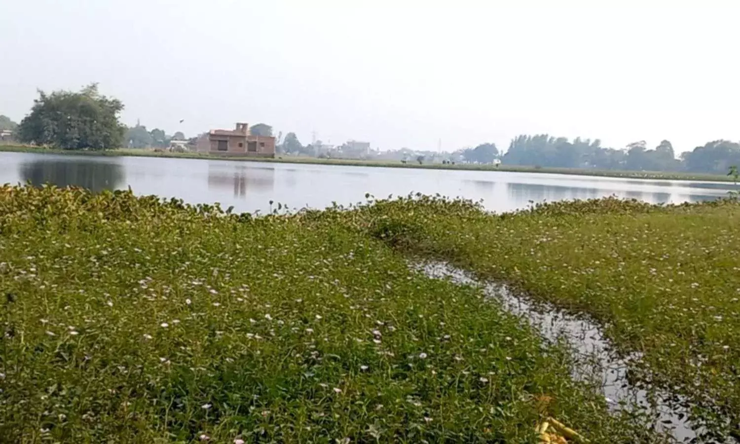 मिशन अमृत सरोवर योजना में हो रही नियमों की अनदेखी, नियमों के विपरीत विकसित किए जा रहे सरोवर! मिशन अमृत सरोवर योजना में हो रही नियमों की अनदेखी, नियमों के विपरीत विकसित किए जा रहे सरोवर!