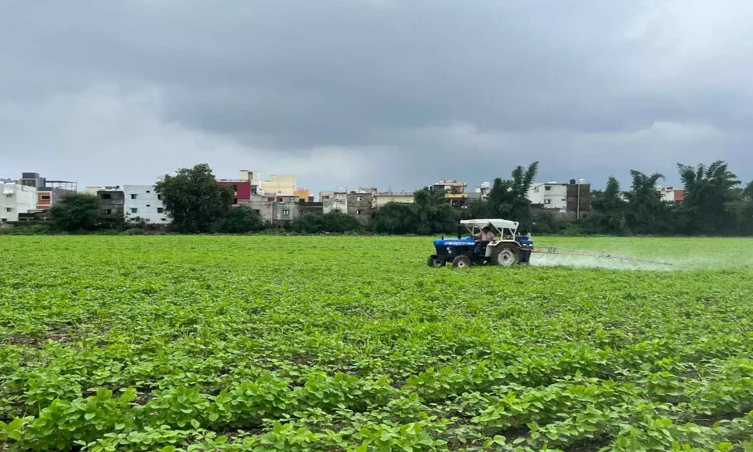 मध्य प्रदेश के सोयाबीन किसानों पर अनिश्चित मौसम की मार, घटते उत्पादन ने बढ़ाई चिंता मध्य प्रदेश के सोयाबीन किसानों पर अनिश्चित मौसम की मार, घटते उत्पादन ने बढ़ाई चिंता