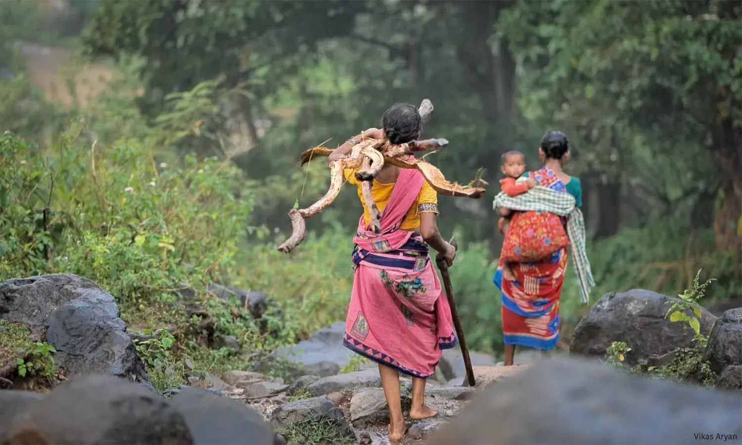 झारखंडः खाट की बैसाखी पर टिका आदिवासियों का स्वास्थ्य झारखंडः खाट की बैसाखी पर टिका आदिवासियों का स्वास्थ्य