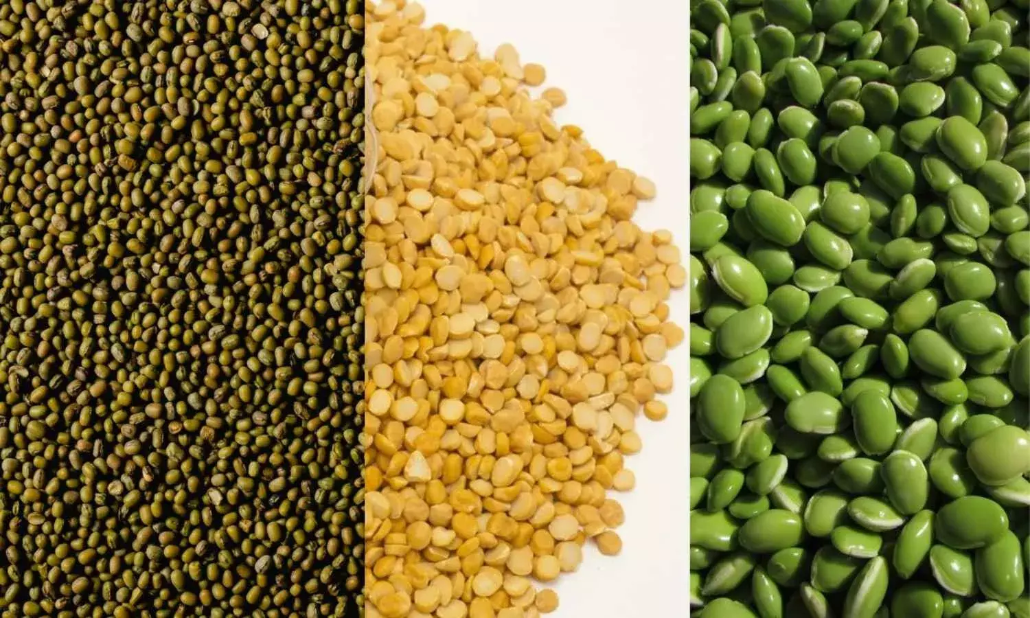 दलहन किसानों पर संकट, मंडी में एमएसपी से नीचे पहुंची दालों की कीमत, लेकिन क्यों? दलहन किसानों पर संकट, मंडी में एमएसपी से नीचे पहुंची दालों की कीमत, लेकिन क्यों?