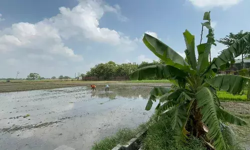 उत्तर प्रदेश: कहीं पानी ही पानी तो कहीं सूखे के हालात, बढ़ी क‍िसानों की चिंता