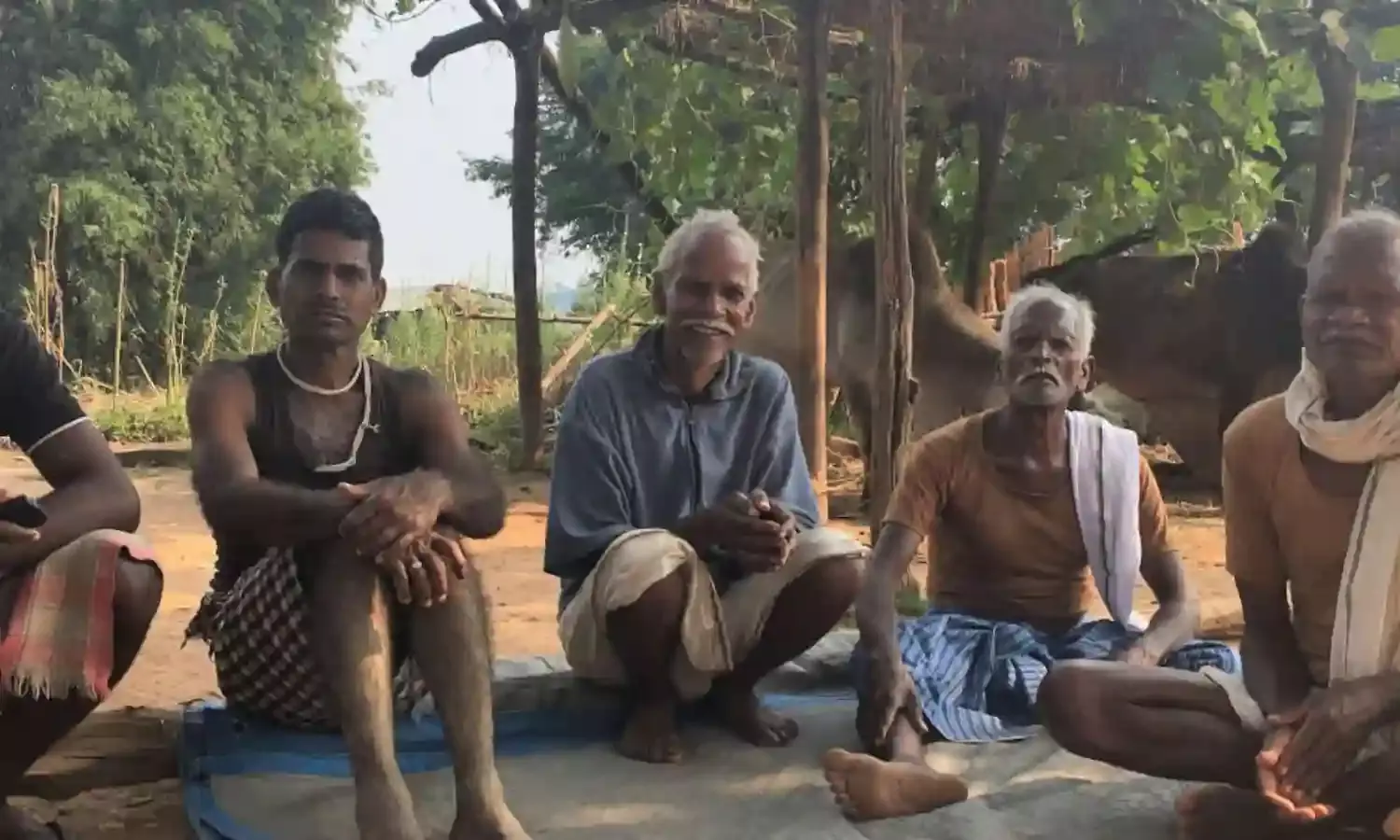133 (25 फीसदी) सीटों पर वन अधिकार तय कर सकते  हैं चुनाव परिणाम