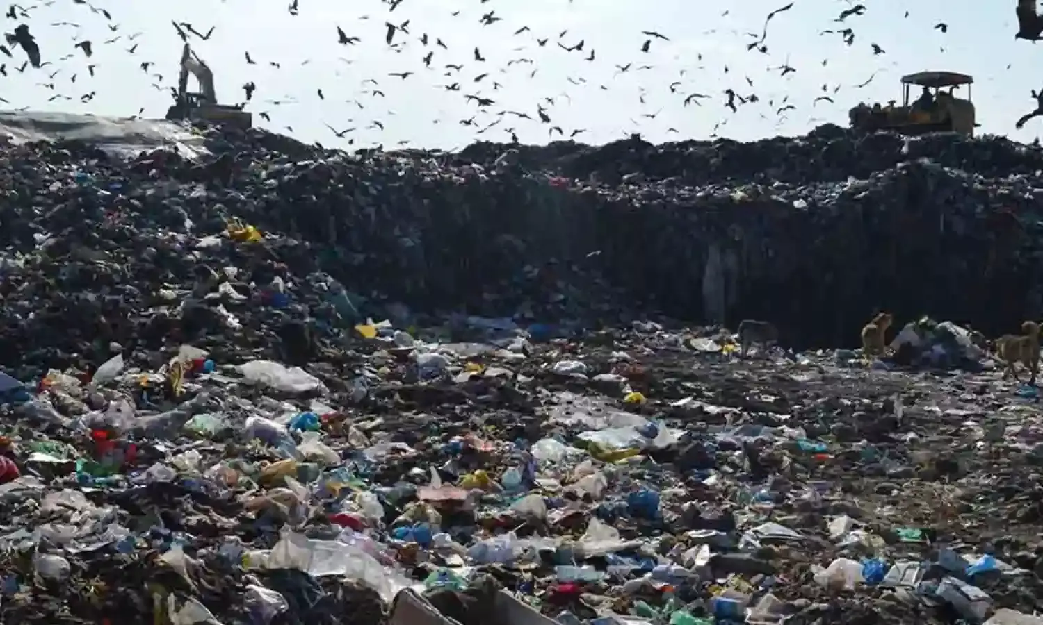 हर रोज 600 ट्रक प्लास्टिक कचरा फेंका जा रहा है!