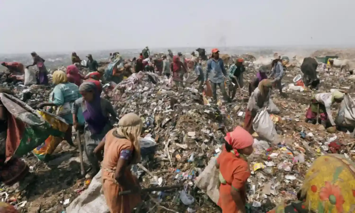 फिलहाल अवैतनिक कूड़ा बिनने वालों पर ही टिका है भारत का कचरा प्रबंधन
