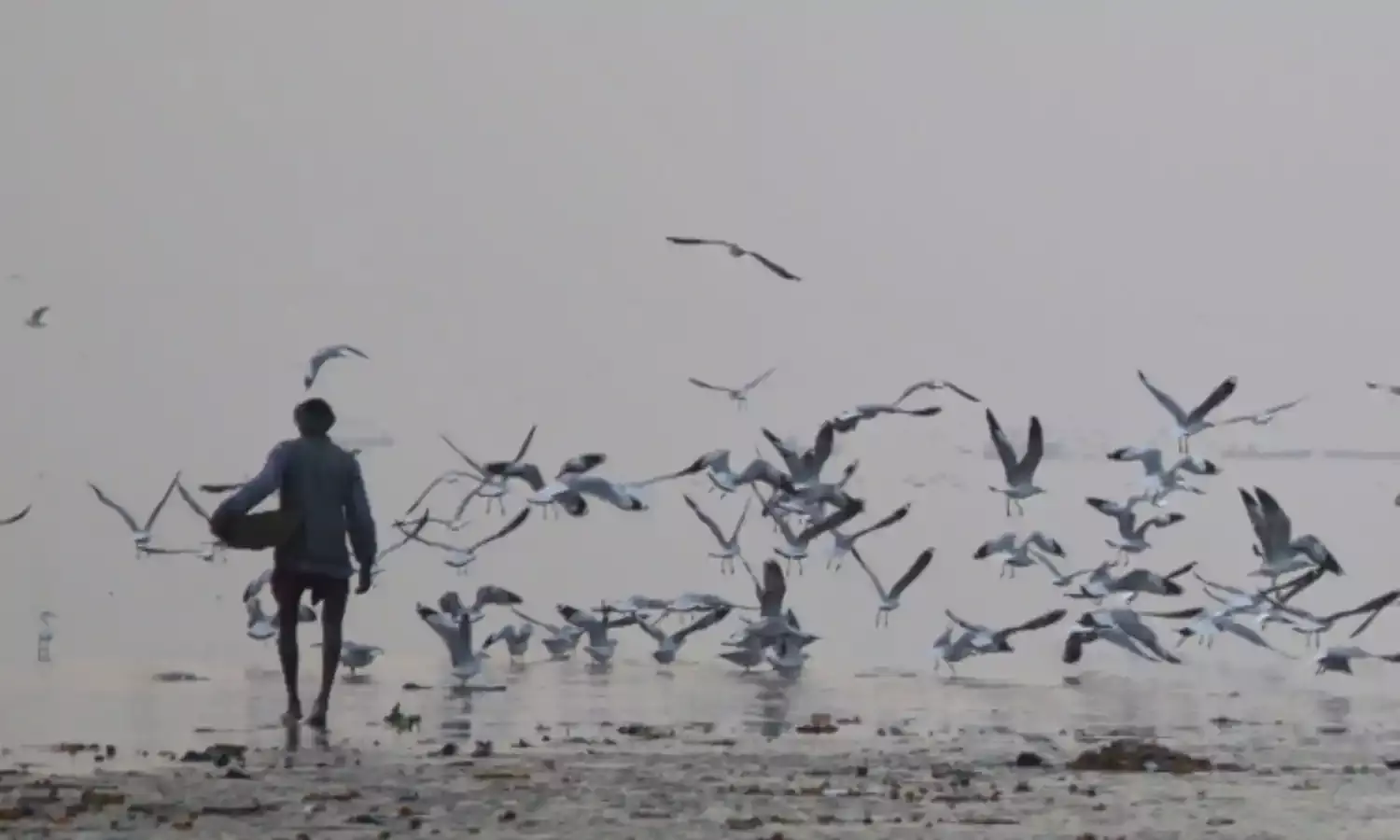 इलाहाबाद,वाराणसी की हवा में घुल रहा है ज़हर