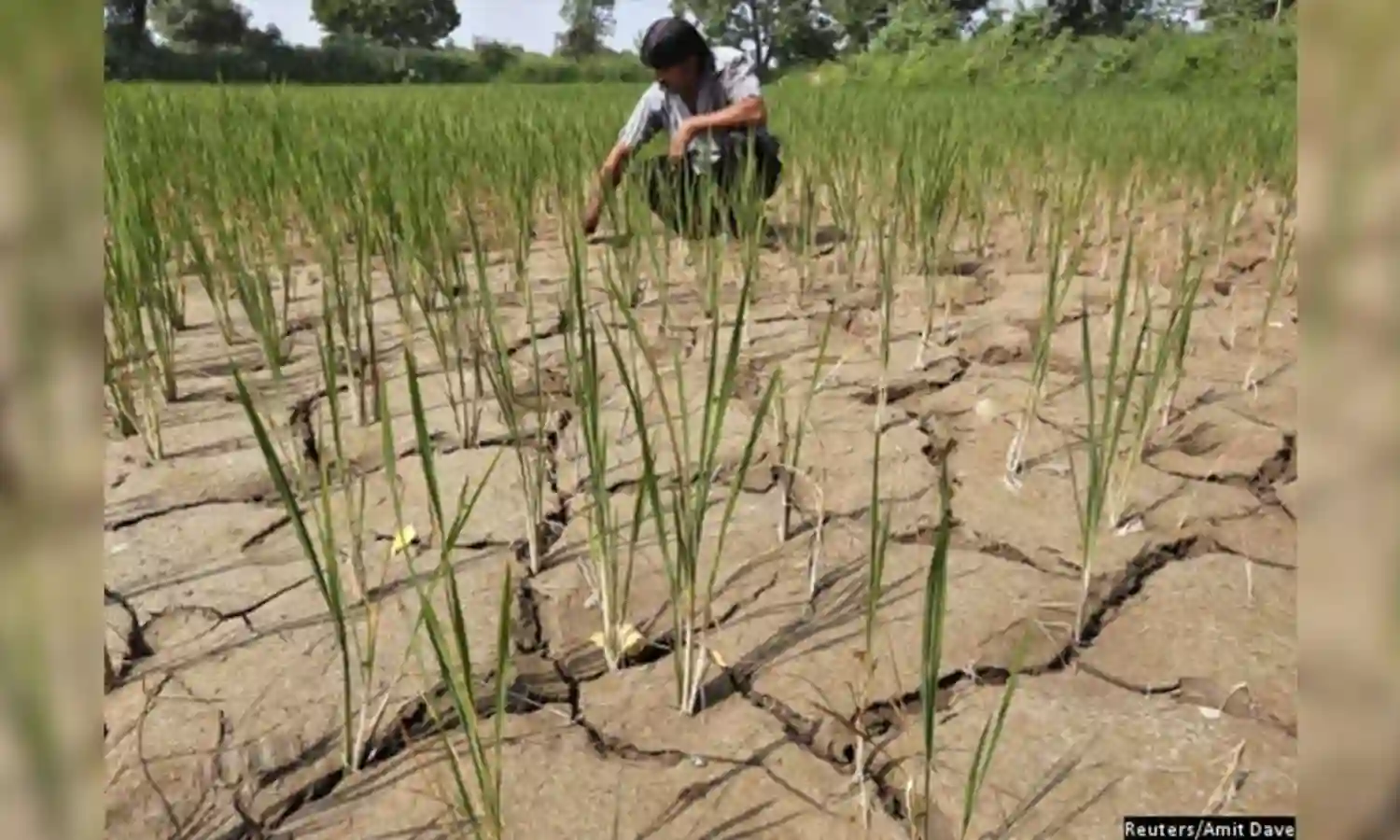 भारत को चिंतित करने वाली  5 प्रमुख समस्याएं