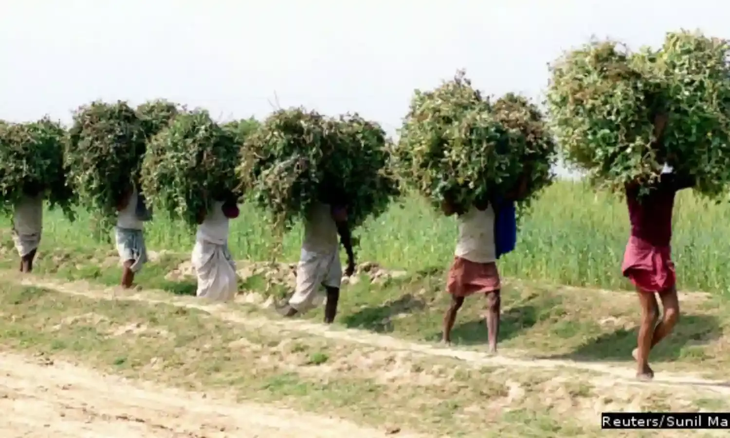 बिहार में हैं सबसे अधिक शिक्षित बेरोज़गार