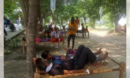 यूपी में डेंगी के मामलों में कमी, लेकिन वजहों पर जानकारों की राय अलग यूपी में डेंगी के मामलों में कमी, लेकिन वजहों पर जानकारों की राय अलग