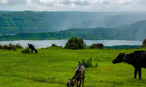 महाराष्ट्र में पश्चिमी घाट के 388 गांवों को पर्यावरण संरक्षण से बाहर रखने की तैयारी महाराष्ट्र में पश्चिमी घाट के 388 गांवों को पर्यावरण संरक्षण से बाहर रखने की तैयारी