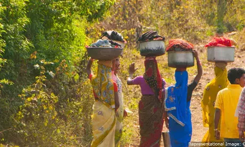 महाराष्ट्र में 70% विधानसभा सीटों के नतीजों पर असर डाल सकता है वन अधिकार अधिनियम महाराष्ट्र में 70% विधानसभा सीटों के नतीजों पर असर डाल सकता है वन अधिकार अधिनियम