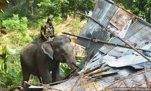 सुप्रीम कोर्ट से उम्मीद, आदिवासी उस बेदखली को याद करते हैं जिससे वन कानून सामने आया सुप्रीम कोर्ट से उम्मीद, आदिवासी उस बेदखली को याद करते हैं जिससे वन कानून सामने आया
