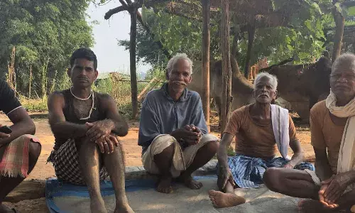 133 (25 फीसदी) सीटों पर वन अधिकार तय कर सकते  हैं चुनाव परिणाम