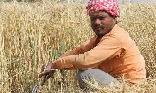 टॉप 12 कॉरपोरेट एनपीए की लागत कृषि ऋण छूट से दोगुना