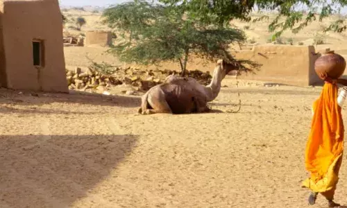 न साफ पानी, न बिजली, ग्रामीण भारत की यही कहानी