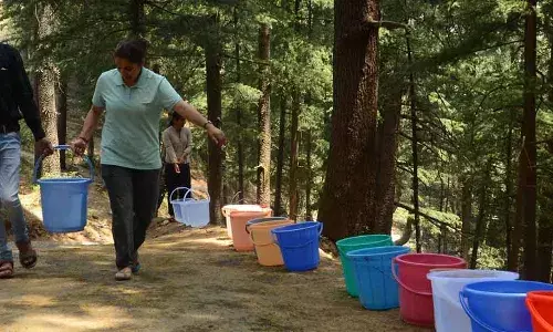 प्रसव में मां को मौत के खतरे से बचा सकती हैं बेहतर दवाएं !