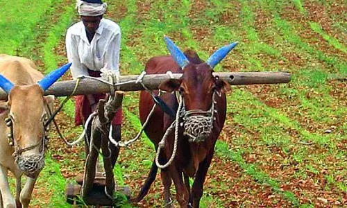 # बजट2018: खेती और बुनियादी ढांचे पर फोकस # बजट2018: खेती और बुनियादी ढांचे पर फोकस