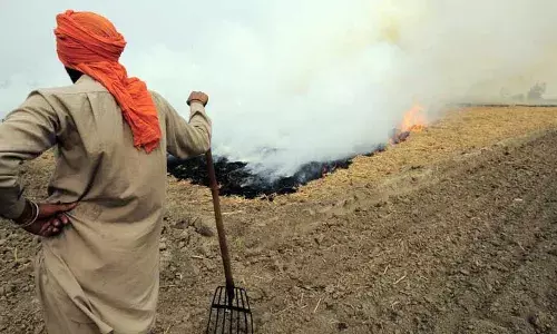 1,000 में से सिर्फ एक भारतीय को साफ हवा उपलब्ध: नया अध्ययन