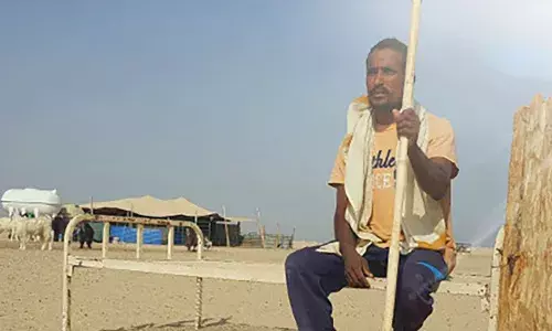 कुवैती रेगिस्तान में बकरियों के भरोसे है ढेर सारे भारतीय पुरुषों का भाग्य