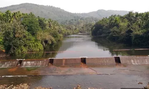 वन का विस्तार हो तो भारत में बाढ़ का नुकसान कम हो-आईआईटी का नया अध्ययन वन का विस्तार हो तो भारत में बाढ़ का नुकसान कम हो-आईआईटी का नया अध्ययन