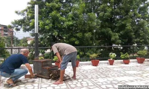 एक आधुनिक स्टोव कम कर सकता है पेड़ों का कटना और ग्लेशियरों का पिघलना