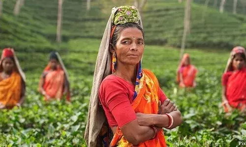 क्यों भारतीय कार्यस्थलों में कम हो रही है महिलाओं की संख्या – हमारी पड़ताल क्यों भारतीय कार्यस्थलों में कम हो रही है महिलाओं की संख्या – हमारी पड़ताल