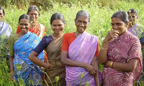 परिवार की आर्थिक हैसियत तय करती है श्रमशक्ति में महिलाओं की भागीदारी परिवार की आर्थिक हैसियत तय करती है श्रमशक्ति में महिलाओं की भागीदारी