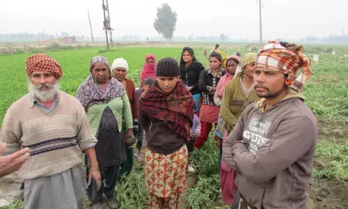 ड्रग्स का डंक, लोग हताश, क्या चुनाव से बदलेगा पंजाब ? ड्रग्स का डंक, लोग हताश, क्या चुनाव से बदलेगा पंजाब ?