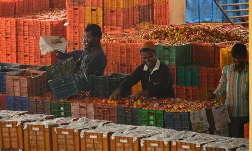 पर्याप्त बारिश से अच्छी फसल, नोटबंदी ने कर दिए भाव कम