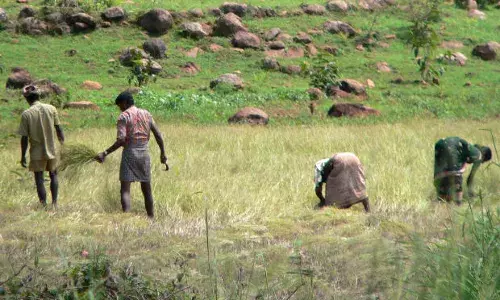 140 वर्षों में पूर्वोत्तर मानसून सबसे बद्तर, 144 किसानों की मौत, तमिलनाडु में सूखा घोषित