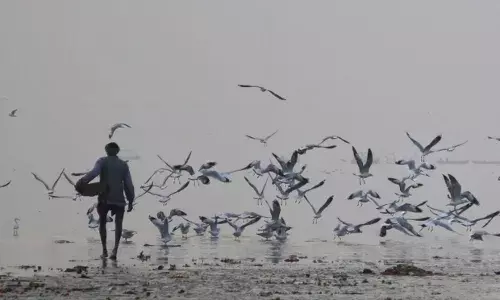 इलाहाबाद,वाराणसी की हवा में घुल रहा है ज़हर