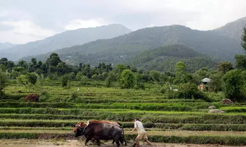 सामान्य मानसून बारिश के बावजूद 37% ज़िलों में बारिश की कमी