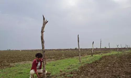 जंगली जानवरों द्वारा फसलों को पहुंचाई गई क्षति में 33% गिरावट – सरकार