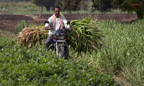 सूखाग्रस्त महाराष्ट्र और पानी की असमानता