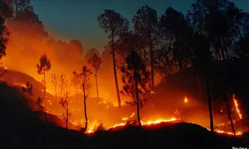 2016 में जंगलों में लगने वाली आग में 30% वृद्धि 2016 में जंगलों में लगने वाली आग में 30% वृद्धि